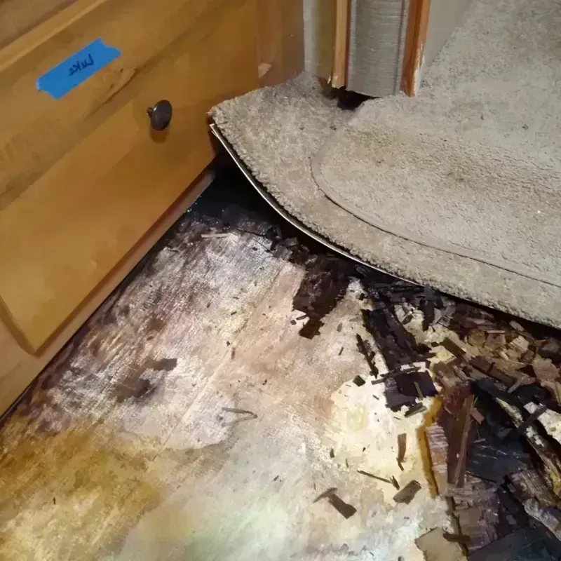 Wood Floor Water Damage in Switzerland County, IN